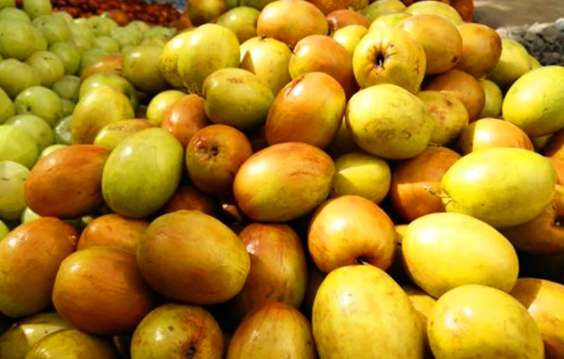 image of a fruit