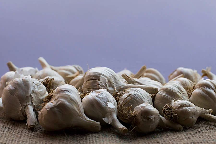 image of garlic